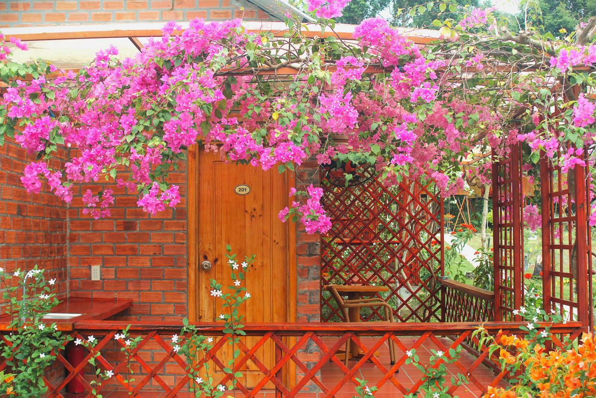 Valley Sen Phu Quoc
